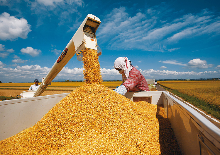安全で品質の良い食材